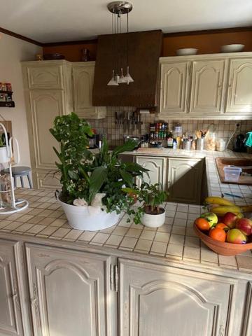 Chambres Chez Nanou Avec Petit Dejeuner Шиме Экстерьер фото